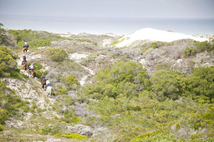 Trail sur plage à Walker Bay