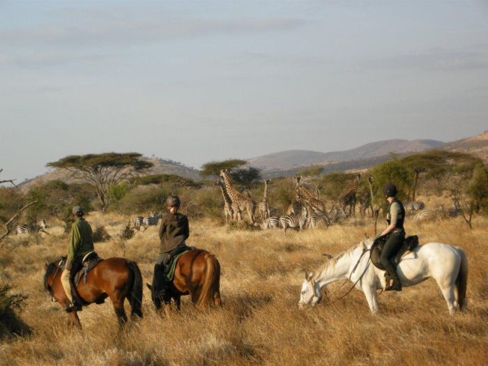 Safari au gros gibier de Meru-Kilimanjaro