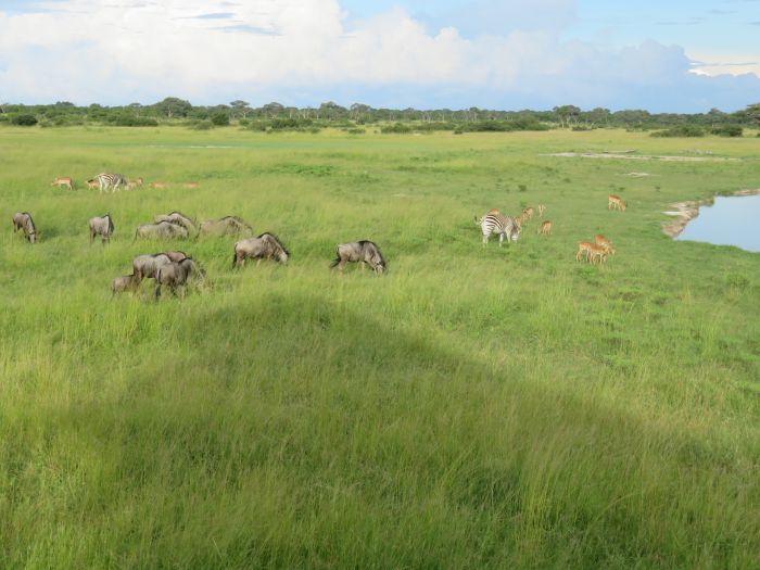 Équitation, canoë et safari au gros gibier au Zambèze