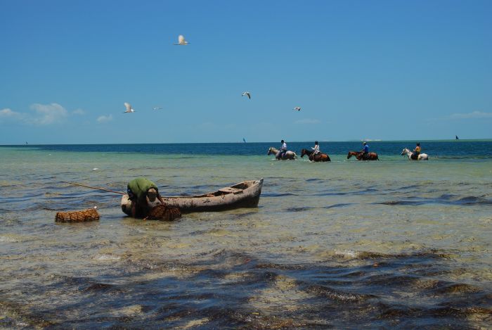 Plage paradisiaque au Mozambique