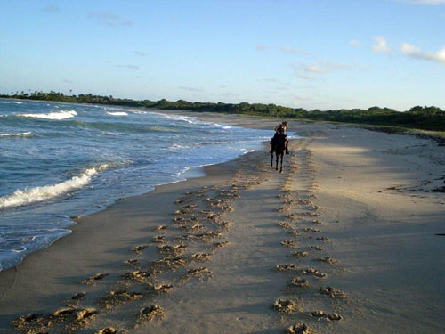 Trail de la plage de Bahia