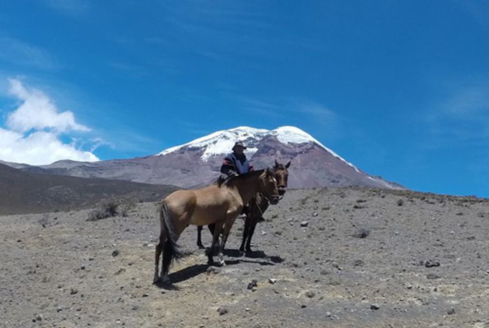 Expédition dans les Andes sauvages