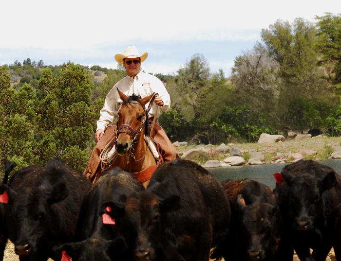 Cattle Ranch à Pleasant Valley
