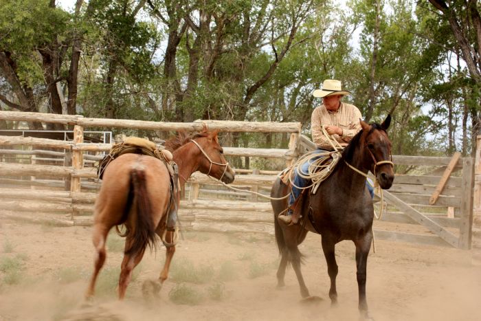 Zapata Working Ranch