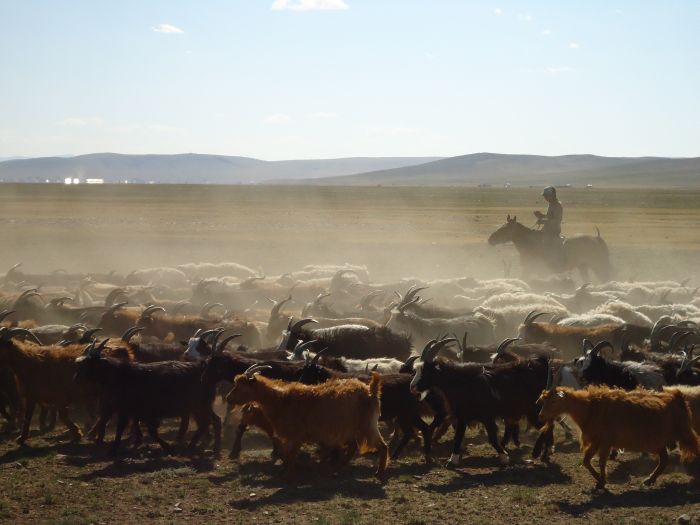 Mongolie centrale et steppes nomades