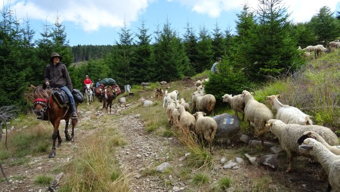 Randonnée d'aventure des Carpates