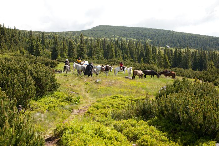 Randonnée d'aventure des Carpates