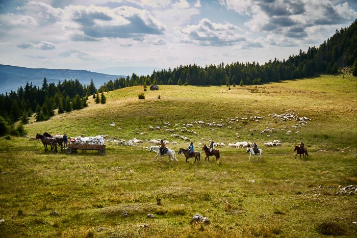 Randonnée d'aventure des Carpates