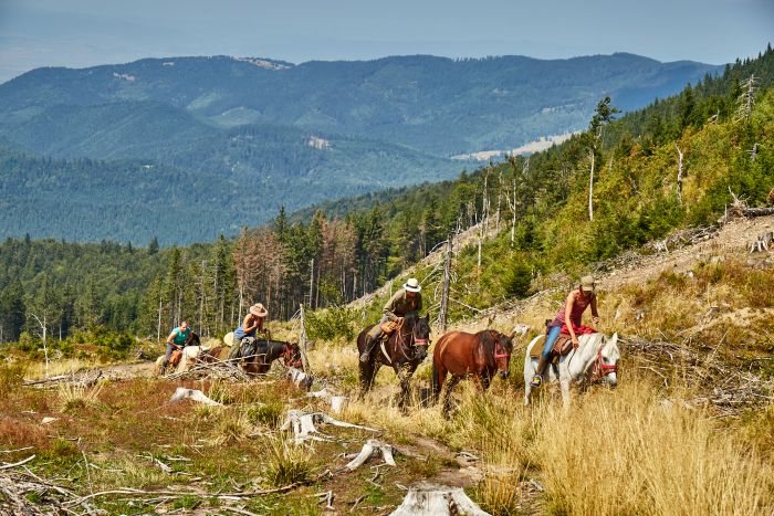Randonnée d'aventure des Carpates