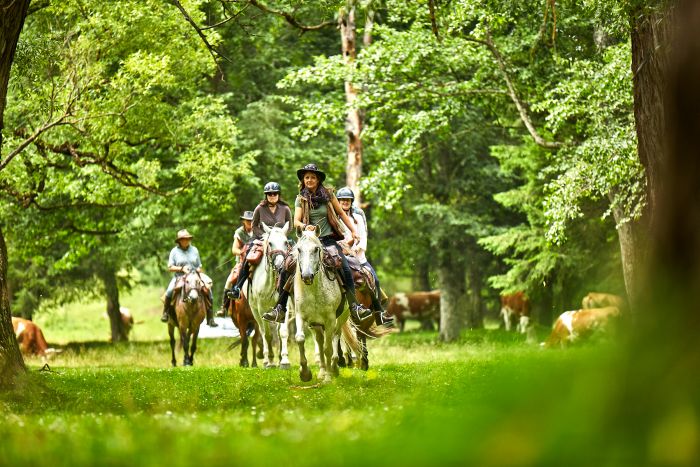 Randonnée d'aventure des Carpates