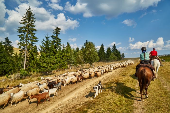 Randonnée d'aventure des Carpates