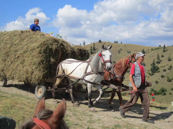 Randonnée d'aventure des Carpates