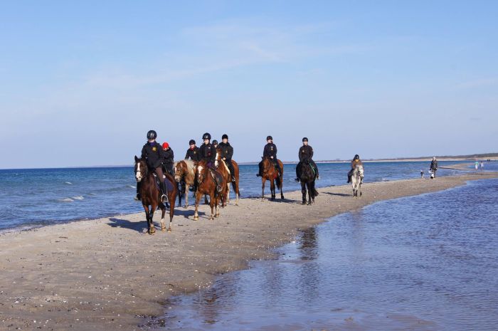 Le rêve du cavalier : la côte de la mer Baltique