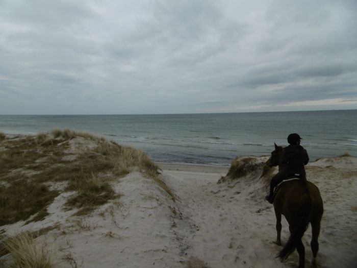 Le rêve du cavalier : la côte de la mer Baltique