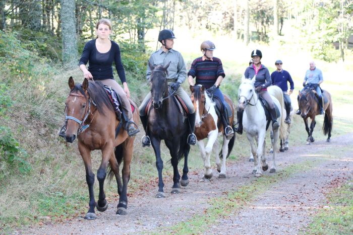 Vacances à cheval dans la belle Alsace