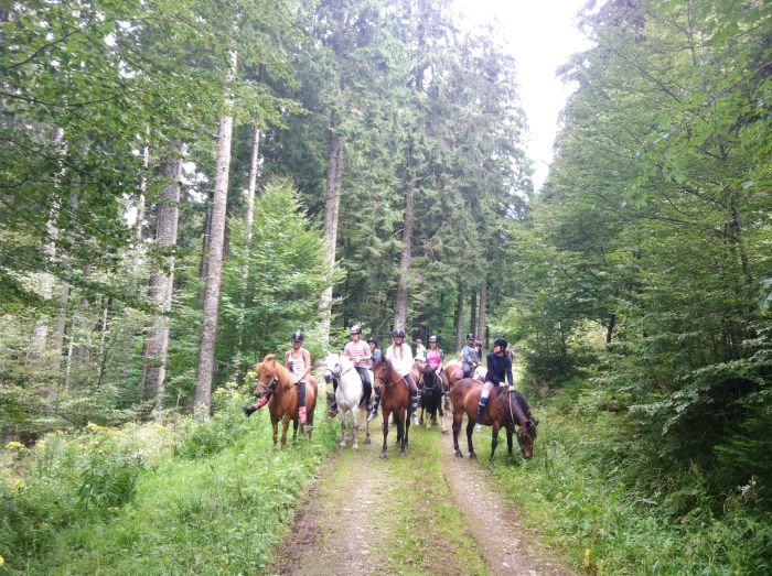 Vacances à cheval dans la belle Alsace