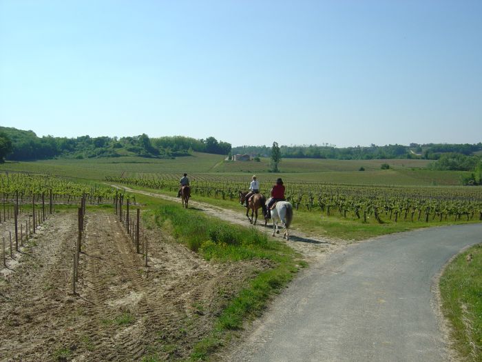 Châteaux vinicoles bordelais