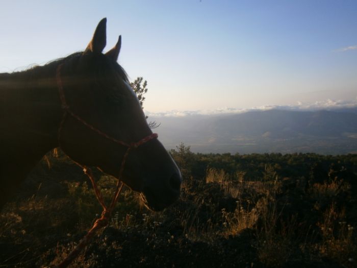 Une aventure à cheval en Sicile