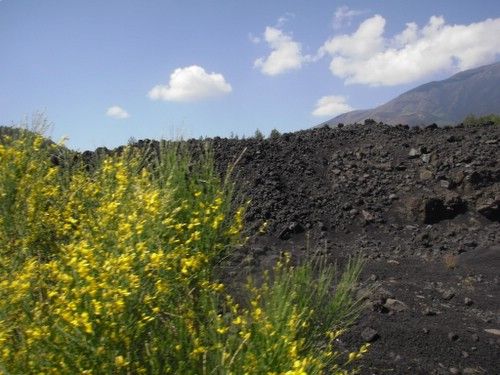 Randonnée du parc naturel de l'Etna
