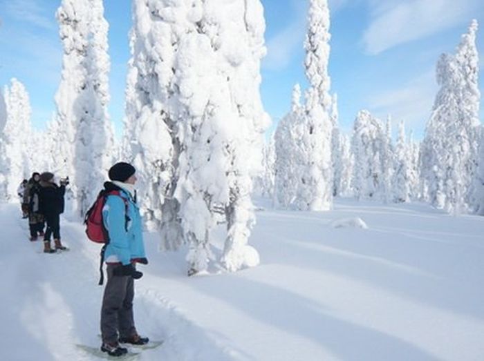 Aventures hivernales au cœur de la Finlande