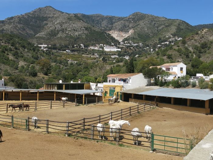 Rancho La Paz - Haras andalou