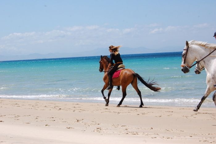 Vacances à cheval à Tarifa