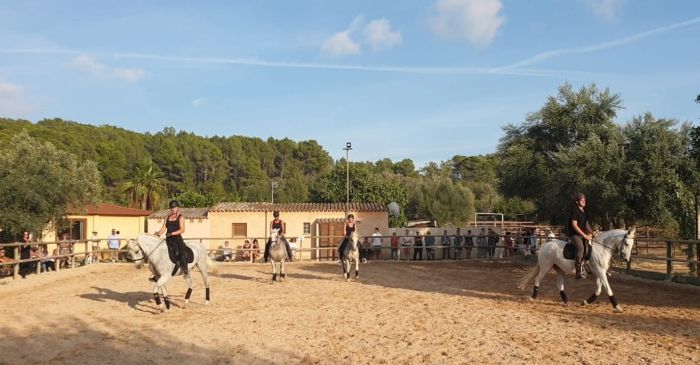 Cours d'équitation à la Finca