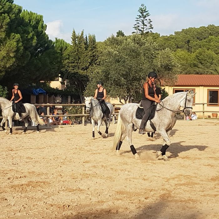 Cours d'équitation à la Finca