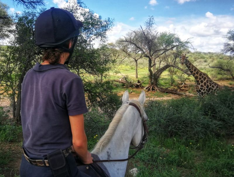 Lodge d'aventure dans les hauts plateaux du Khomas