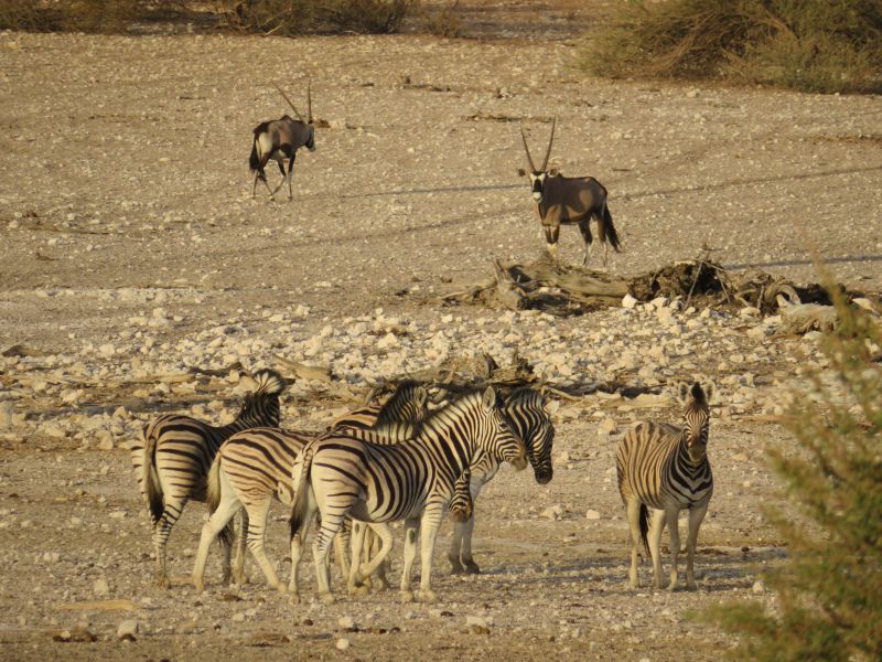 Lodge d'aventure dans les hauts plateaux du Khomas