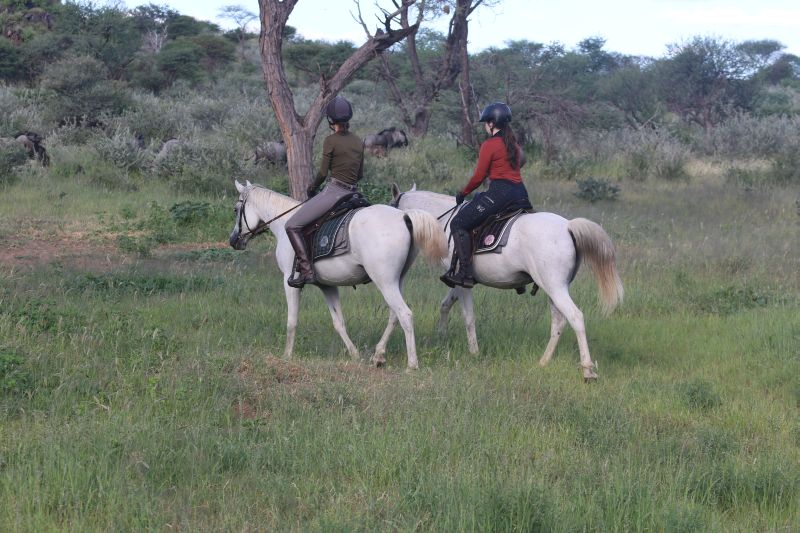 Lodge d'aventure dans les hauts plateaux du Khomas