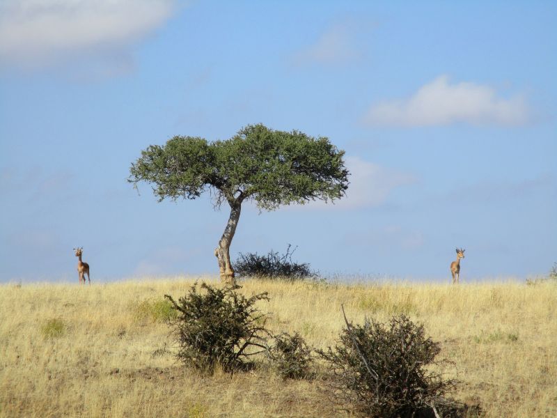 Lodge d'aventure dans les hauts plateaux du Khomas