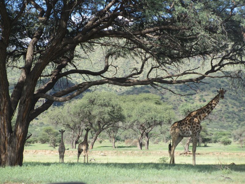 Lodge d'aventure dans les hauts plateaux du Khomas