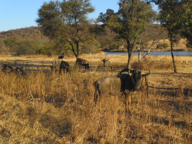 Lodge d'aventure dans les hauts plateaux du Khomas