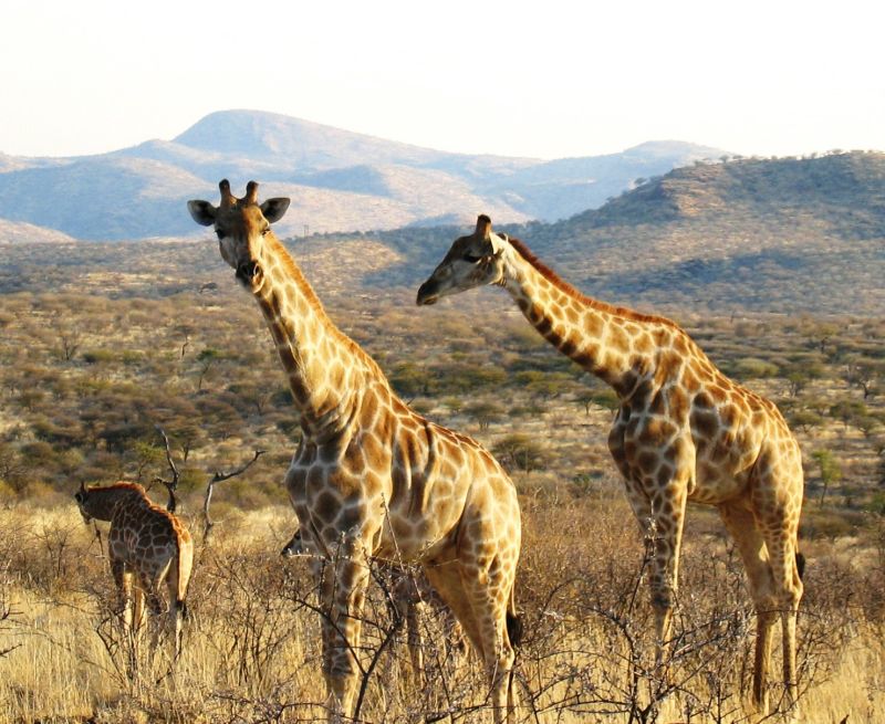 Lodge d'aventure dans les hauts plateaux du Khomas