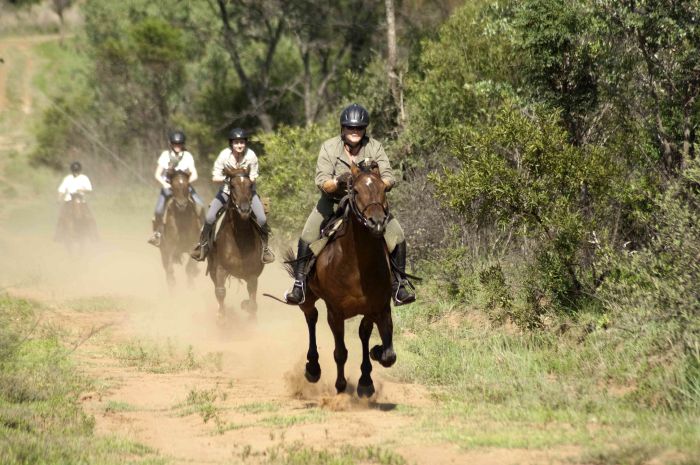 Afrique du Sud Safari Lodge à Lodge