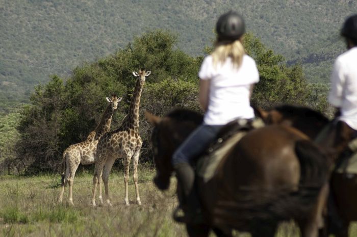 Afrique du Sud Safari Lodge à Lodge