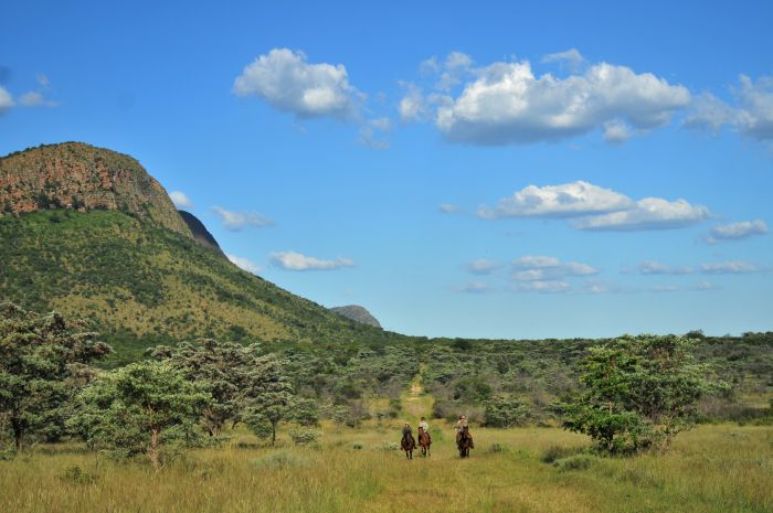 Afrique du Sud Safari Lodge à Lodge