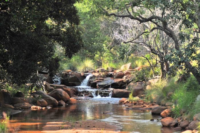 Afrique du Sud Safari Lodge à Lodge