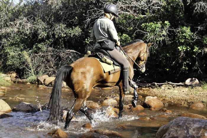 Afrique du Sud Safari Lodge à Lodge
