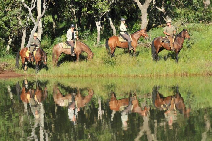Afrique du Sud Safari Lodge à Lodge