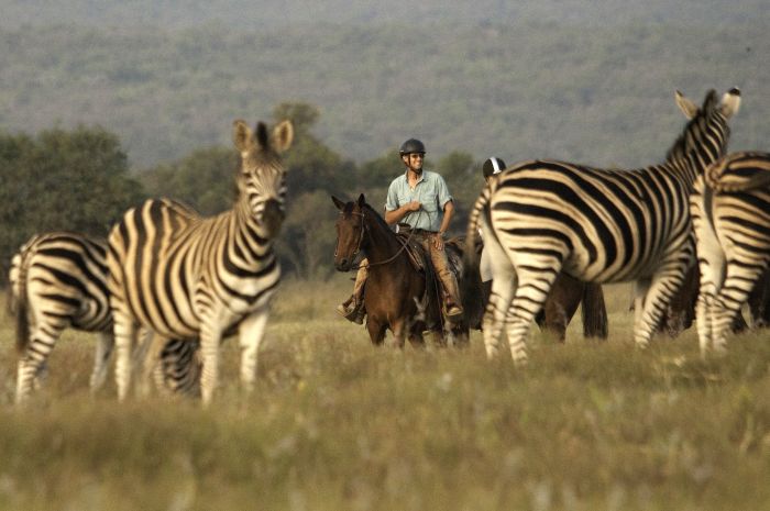 Afrique du Sud Safari Lodge à Lodge
