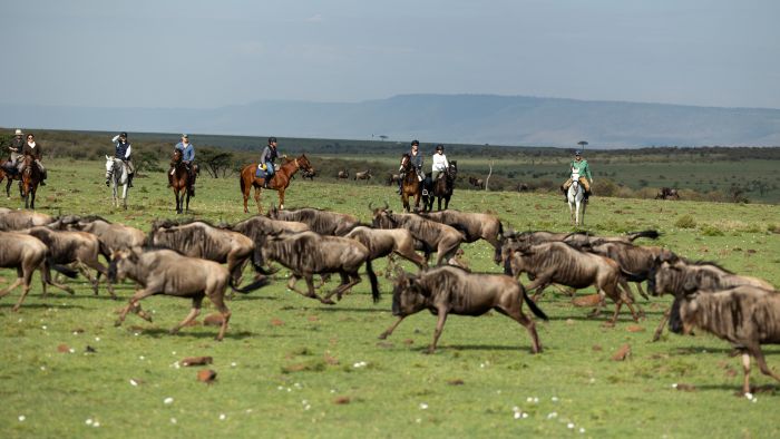 Randonn&eacute;e safari Laikipia