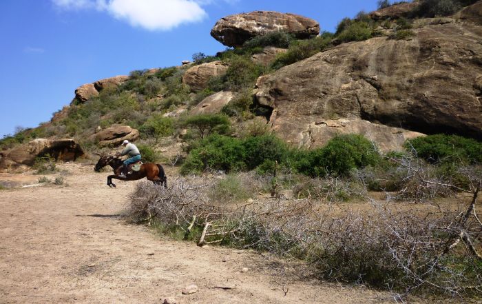 Randonn&eacute;e safari Laikipia