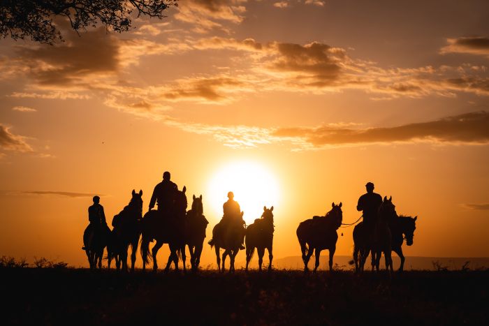 Randonn&eacute;e safari Laikipia