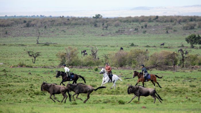 Randonn&eacute;e safari Laikipia
