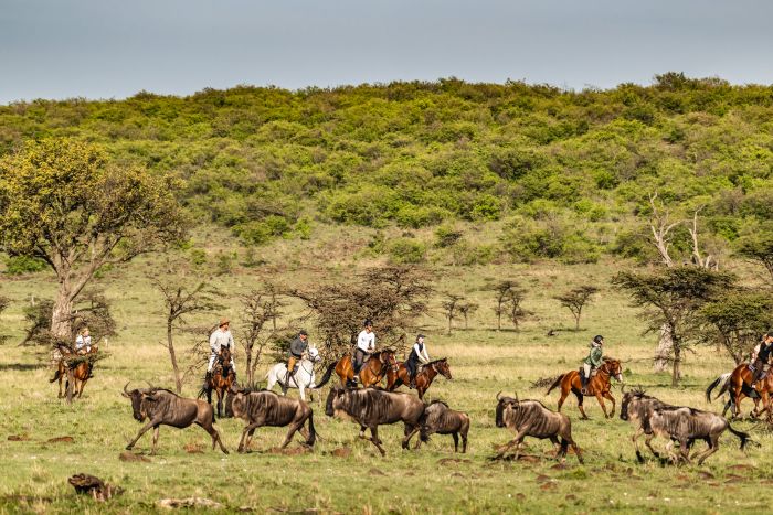 Randonn&eacute;e safari Laikipia