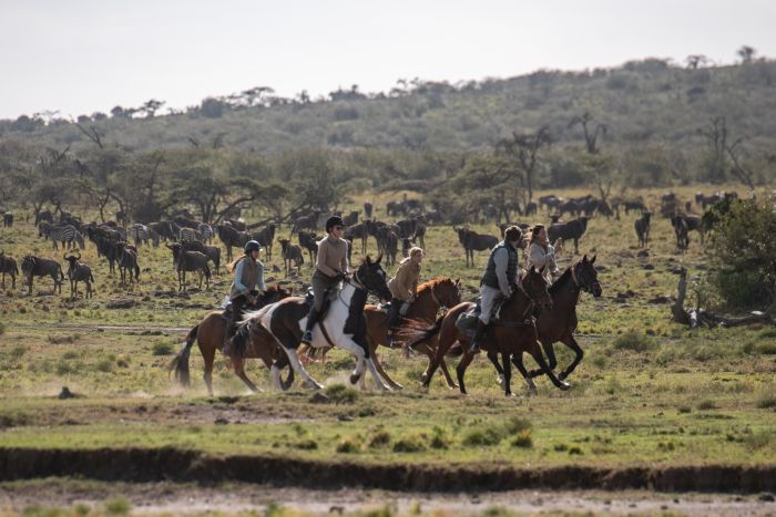 Randonn&eacute;e safari Laikipia