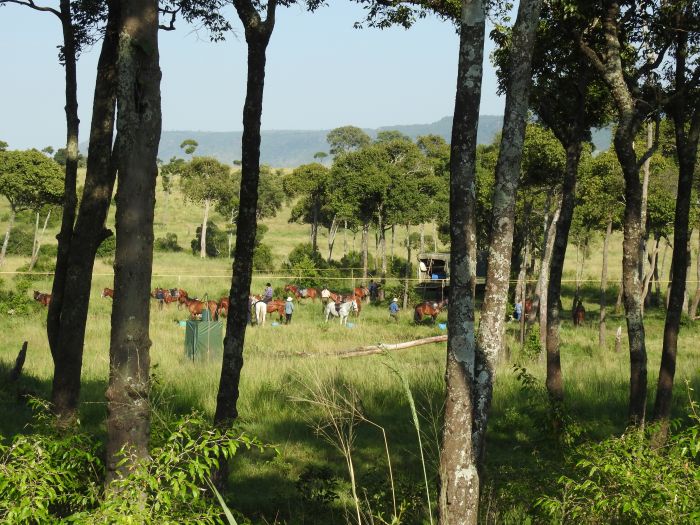 Randonn&eacute;e safari Laikipia