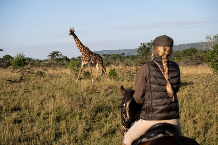 Randonn&eacute;e safari Laikipia